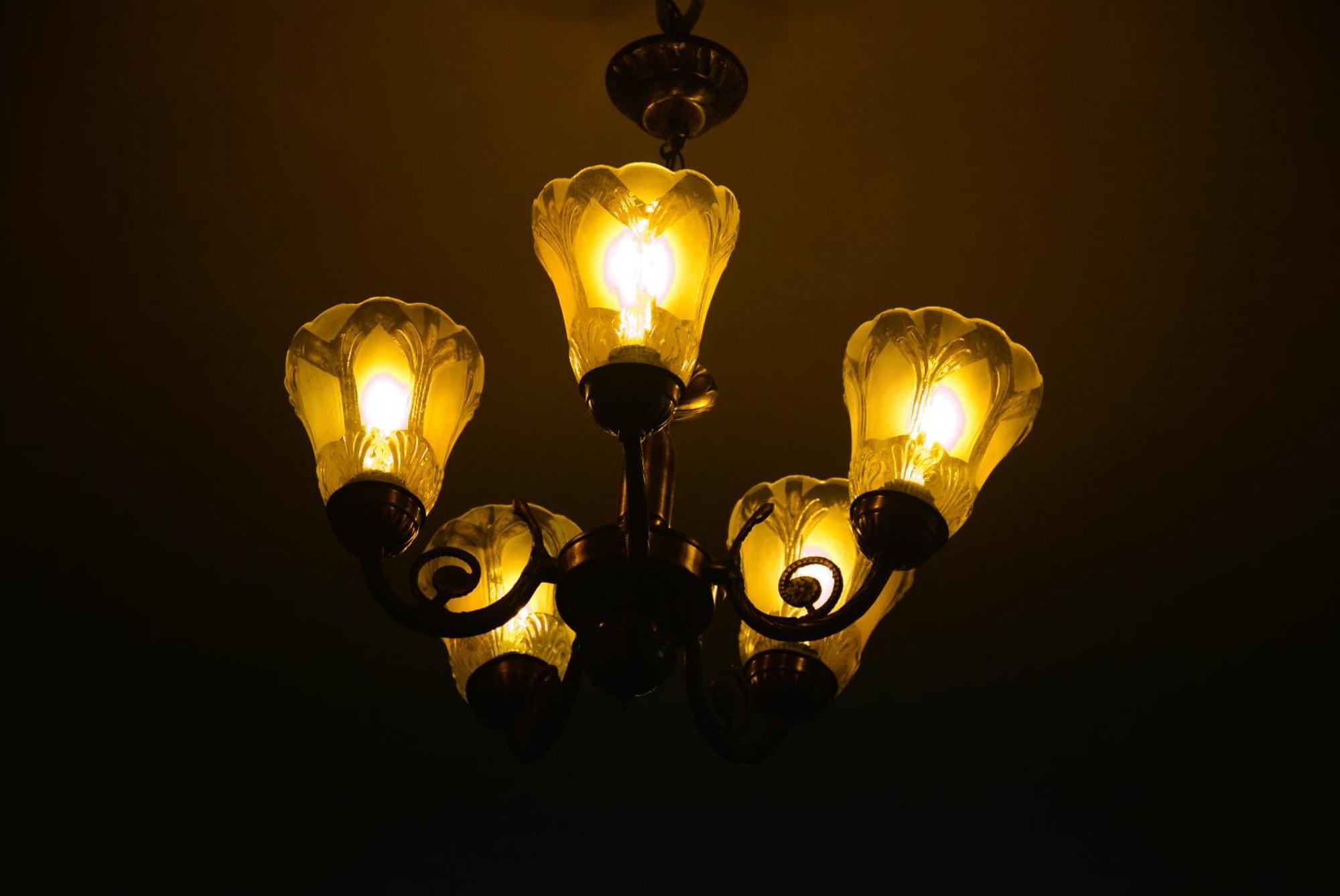 Blue Beds Homestay, Exotic 2Bhk Ac House Jabalpur Exteriér fotografie